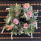 10.5" Coreopsis and Eucalyptus Mix Mini Wreath