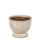 7" Antiqued Cream Terra Cotta Planter