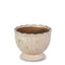 7" Antiqued Cream Terra Cotta Planter