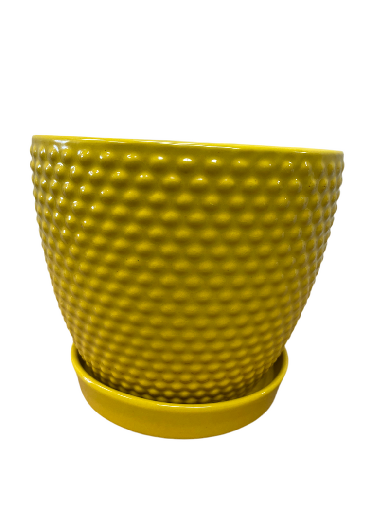 6" Green/Rust/Ocher Laser Pot