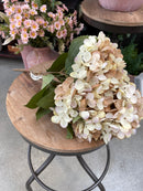 17" Autumn Brown Hydrangea Spray