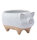 White Pig Ceramic Planter