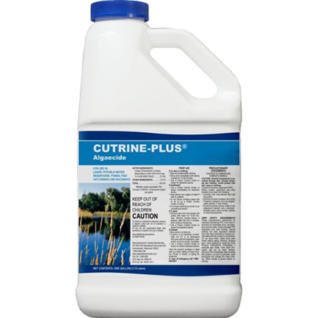 Cutrine Plus Algaecide