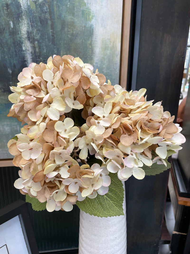 17" Autumn Brown Hydrangea Spray