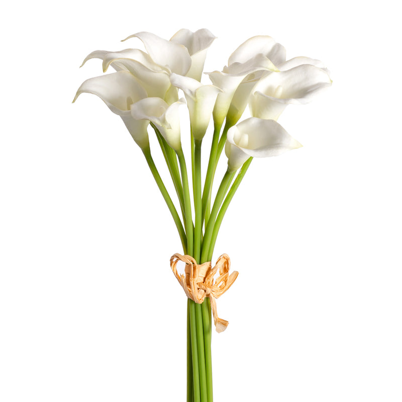 12" White Mini Calla 12 Stem Bundle