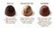 DeBrand's Chocolate 6 Piece Truffle Popular Assortment